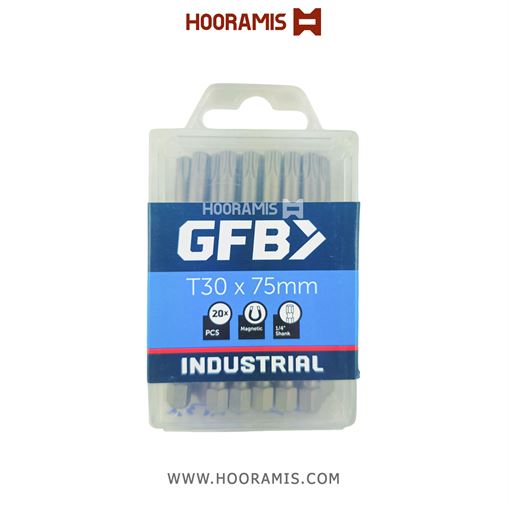 سردریلی پیچ بند یک سر ستاره ای T30 به طول 75 میلیمتر برند gfb ترکیه 562_1.png